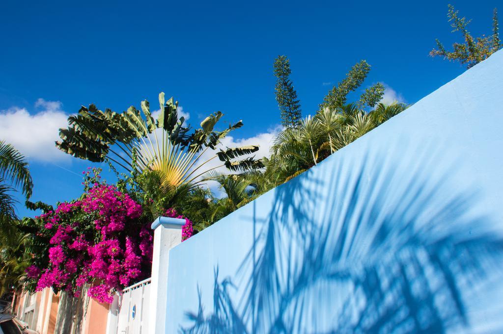 Blue Paradise Le Gosier  Exteriör bild