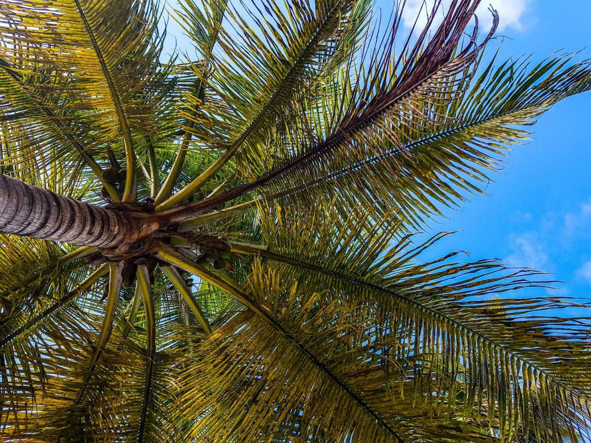 Blue Paradise Le Gosier  Exteriör bild